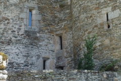 15_Vieillevie_2013_007