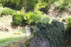 15_Vieillevie_2013_011