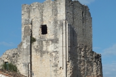 16_Marthon_2012_002