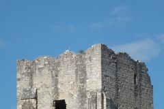 16_Marthon_2012_003