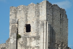 16_Marthon_2012_005