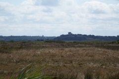17_Broue001