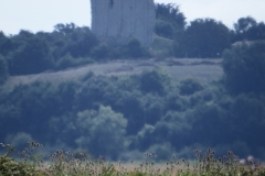 17_Broue004