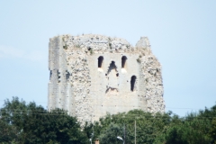 17_Broue008
