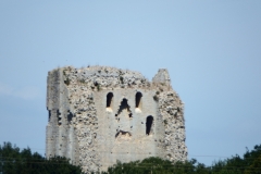17_Broue009