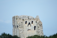 17_Broue010