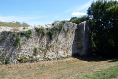 17_Broue018