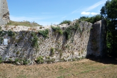 17_Broue022