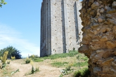 17_Broue023