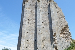 17_Broue025