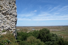 17_Broue028
