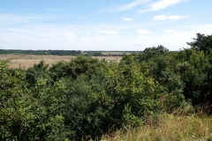 17_Broue029