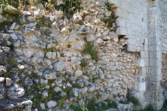 17_Broue039