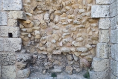 17_Broue041