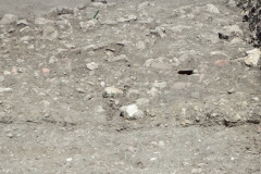 17_Broue056