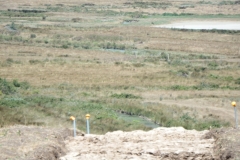 17_Broue057