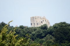 17_Broue065