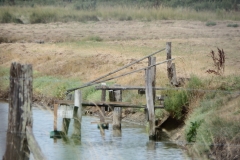 17_MornacSurSeudre026