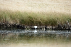 17_MornacSurSeudre032