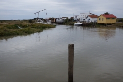 17_MornacSurSeudre064