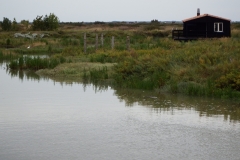 17_MornacSurSeudre065