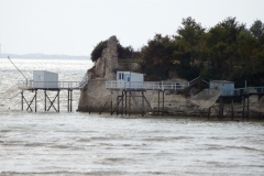 17_TalmondSurGironde_013