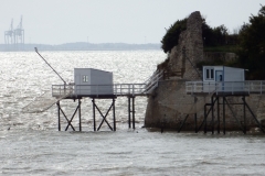 17_TalmondSurGironde_017
