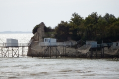 17_TalmondSurGironde_018