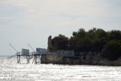 17_TalmondSurGironde_024
