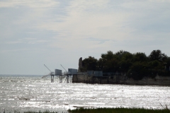 17_TalmondSurGironde_025