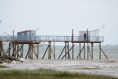 17_TalmondSurGironde_028
