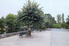 24_Brantome_2013_034