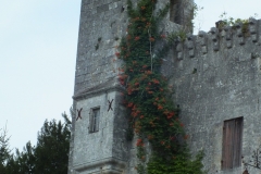 24_LaTourBlanche_2013_014