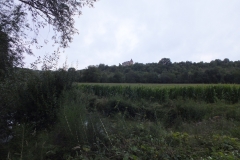 24_Longas_2013_003