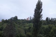 24_Miremont_2013_089
