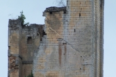 24_Miremont_2013_093