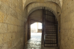 24_Perigueux_2013_044