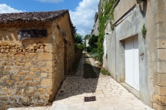 24_BeaumontPerigord_2014_025