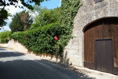 24_BeaumontPerigord_2014_029
