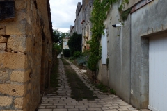 24_BeaumontPerigord_2014_036