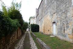 24_BeaumontPerigord_2014_043