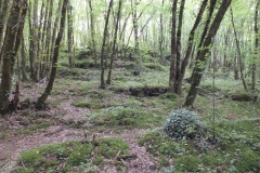 24_Commarque_2011_007