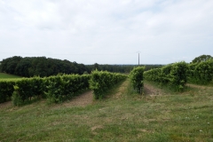24_Gurson_2014_017