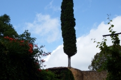 24_MontferrandPerigord_2014_055