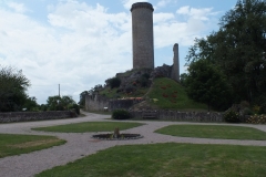 24_PiegutPluviers_2012_002