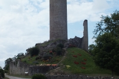 24_PiegutPluviers_2012_003