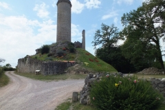 24_PiegutPluviers_2012_005