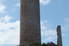 24_PiegutPluviers_2012_006