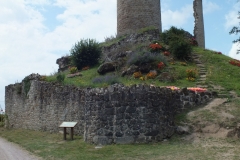 24_PiegutPluviers_2012_007