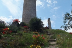 24_PiegutPluviers_2012_008